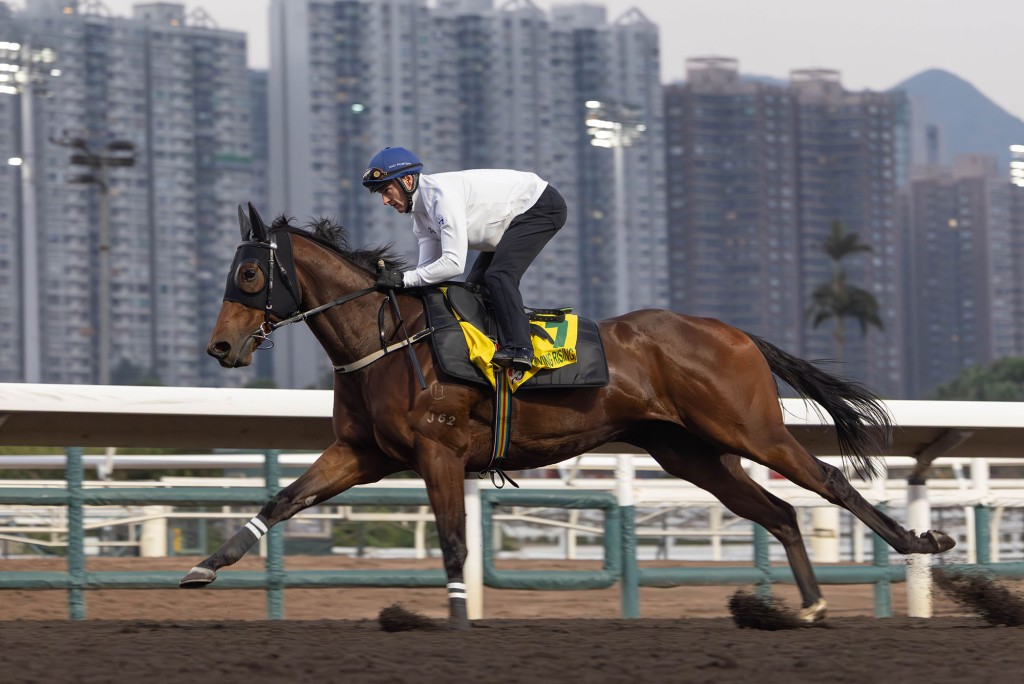 Zac Purton rides Ka Ying Rising in trackwork on Tuesday. He told Idol Horse he had "looked after" the champ in his final serious gallop before Sunday's G1 LONGINES Hong Kong Sprint. HKJC 