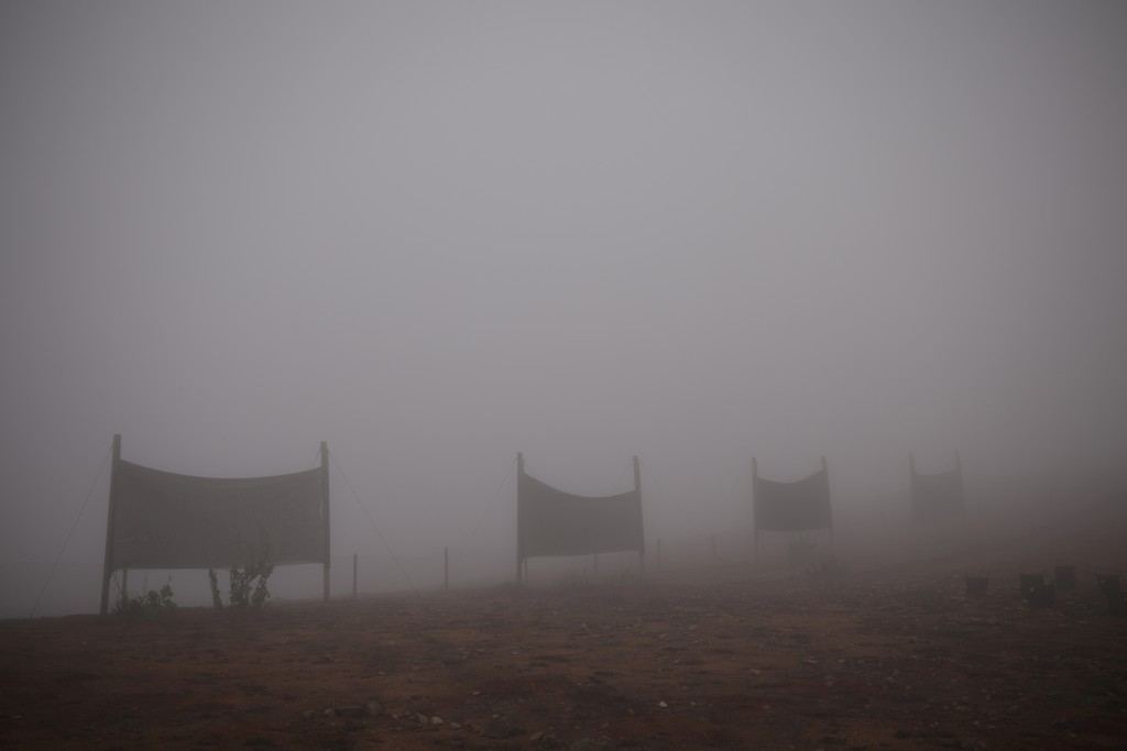 A set of fog catchers, meshes suspended between two poles that intercept small bits of moisture to collect water from the air in the Atacama Desert, stand in Paposo, Chile June 13, 2025. (Reuters)