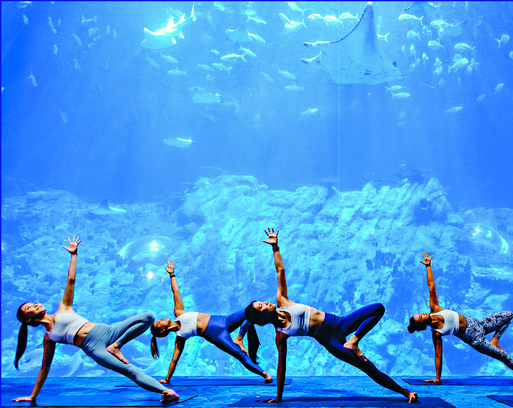 Doing yoga in the Grand Aquarium and hiking on a trail route under cable cars are among the new come-ons. Doing yoga in the Grand Aquarium and hiking on a trail route under cable cars are among the new come-ons.