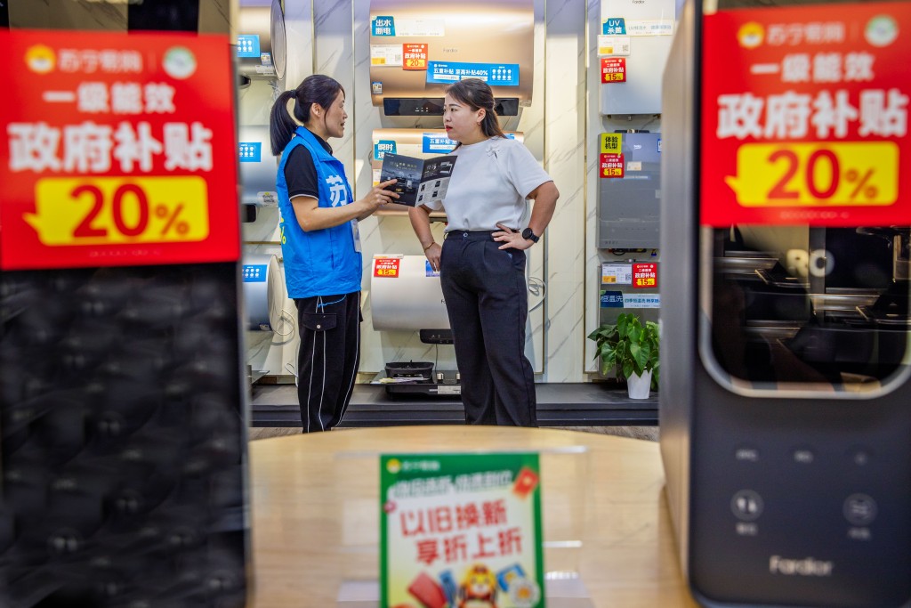 A salesperson introduces products and government subsidies policies to a consumer at a Suning chain store, a leading home-appliance retailer, in Wenzhou City, east China's Zhejiang Province, Nov. 11, 2024. Xinhua