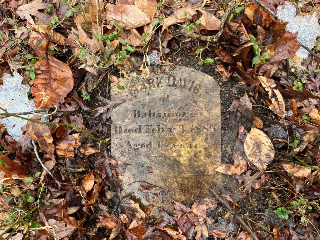 Photo by VICTORIA LAVELLE / AFP  An abandoned 19th-century grave is seen on the grounds of the House of Reformation for Colored Children, a closed down segregated juvenile detention facility that operated in the late 19th and early 20th century, in Cheltenham, Maryland, on February 17, 2026.