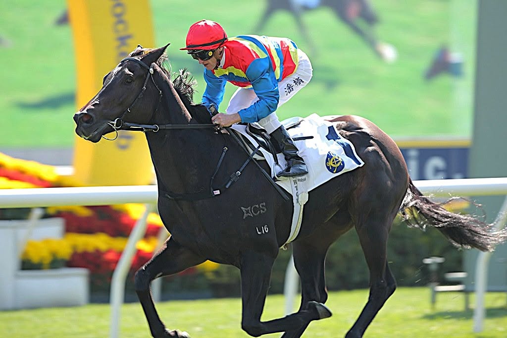 Majestic Valour winning under Zac Purton. HKJC Majestic Valour winning under Zac Purton. HKJC