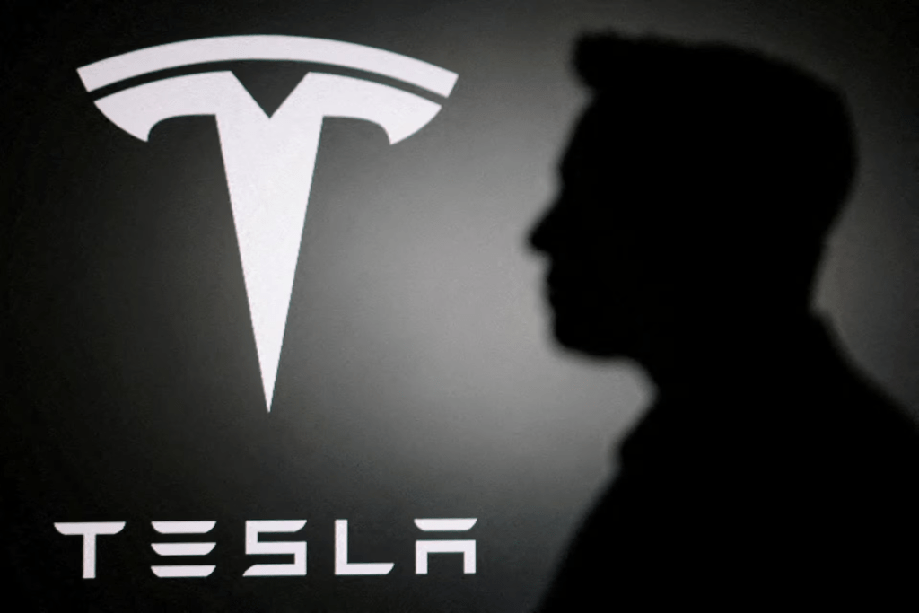 The silhouette of Elon Musk and Tesla logo are seen in this illustration taken June 11, 2026. REUTERS/Dado Ruvic/Illustration/File Photo