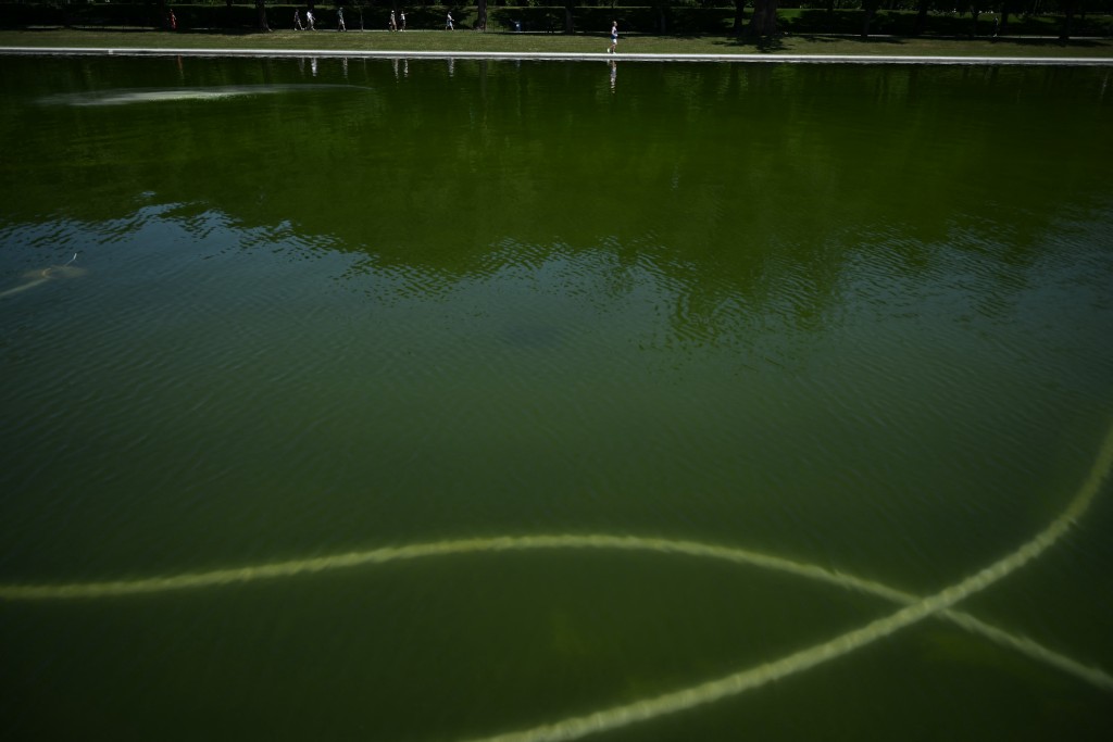 Photo by BRENDAN SMIALOWSKI / AFP  A hose used to remove algae is seen inside the Lincoln Memorial Reflecting Pool following the completion of recent renovations in Washington, DC, on June 16, 2026.