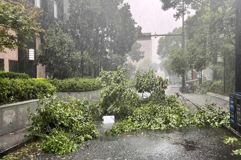 Fallen tree branches seen on the streets amid heavy rainfall, after Typhoon Bebinca made landfall in Shanghai. (Reuters) 