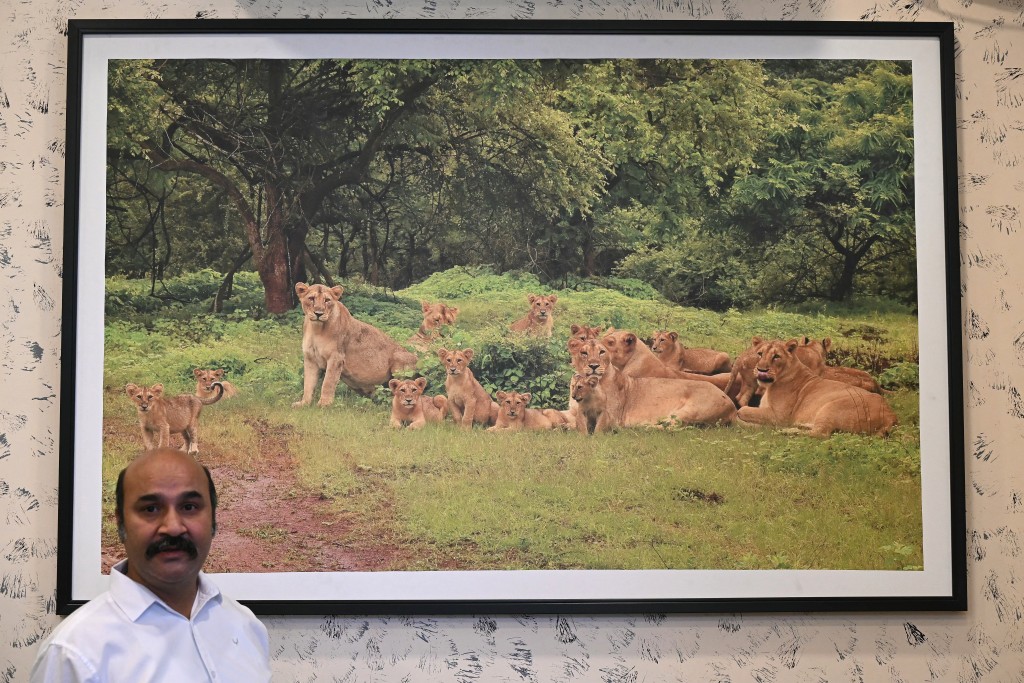 Photo by INDRANIL MUKHERJEE / AFP  This photograph taken on November 10, 2025 shows Ramratan Nala, Chief Conservator of Forests (Wildlife), Junagadh Range, looking on during an interview with AFP at the Gir National Park in India's western state of Gujarat.
