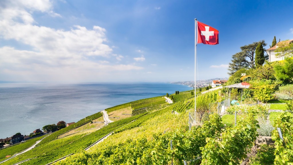 A Swiss vineyard.