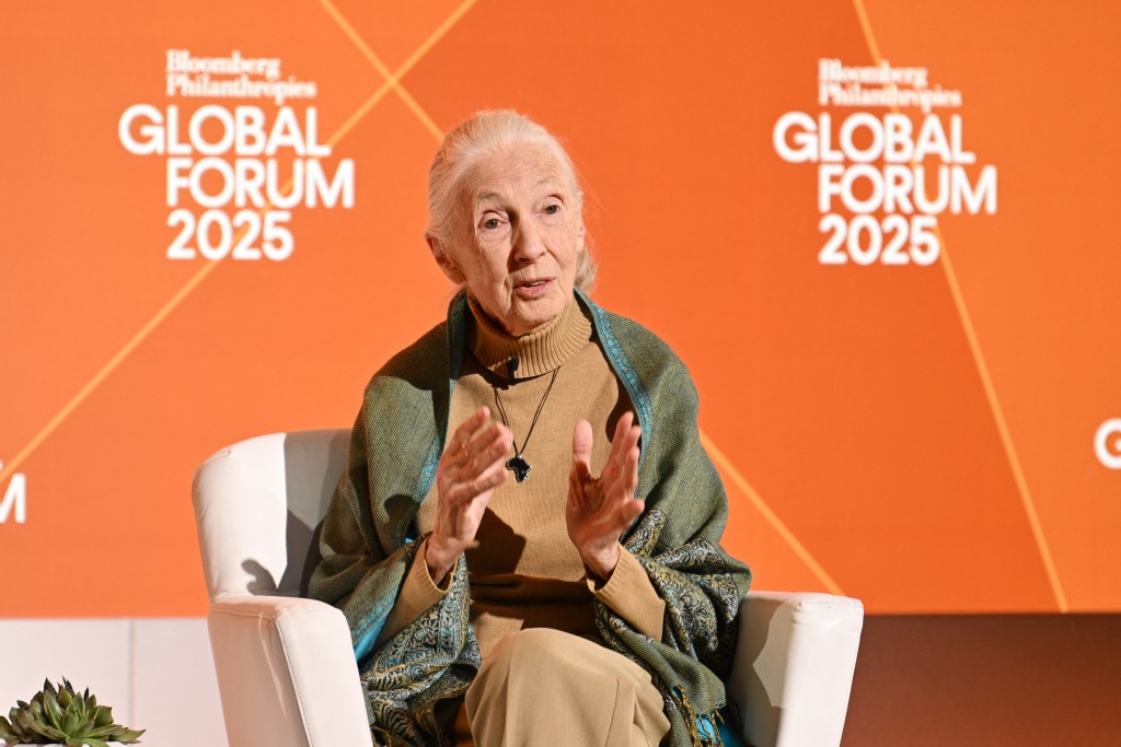 Jane Goodall speaks onstage at the Bloomberg Philanthropies Global Forum 2025 at The Plaza Hotel on September 24, 2025 in New York City. Bryan Bedder/Getty Images for Bloomberg Philanthropies/AFP (Photo by Bryan Bedder / GETTY IMAGES NORTH AMERICA / Getty Images via AFP)