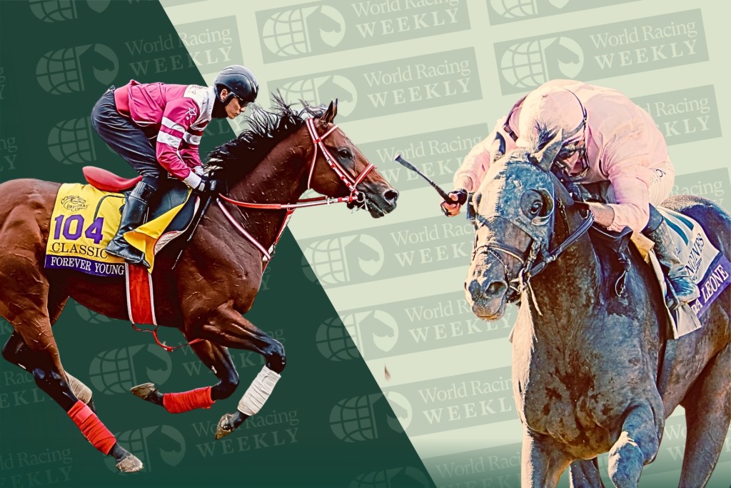 Forever Young, Sierra Leone (Tim Sudduth/Eclipse Sportswire/Breeders Cup and Shamela Hanley/Eclipse Sportswire/Breeders Cup)