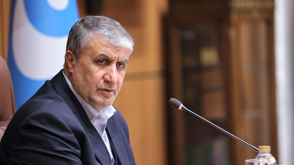 Iranian nuclear chief Mohammad Eslami / Reuters