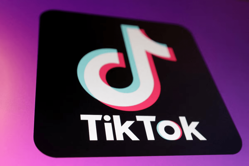 The TikTok app logo is seen in this illustration taken January 16, 2025. REUTERS/Dado Ruvic/Illustration/File Photo 