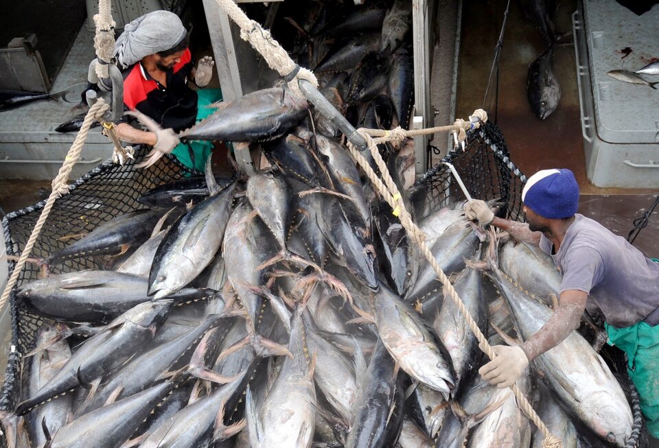 Workers offload tuna from a fishing boat in Port Victoria, August 4, 2008. REUTERS/George Thande/File Photo