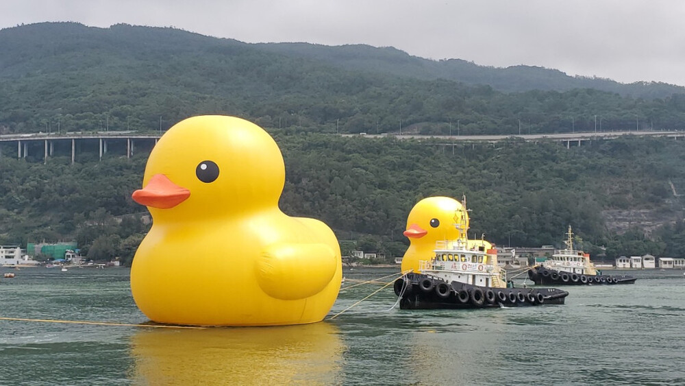Very Large Inflatable Duck Giant inflatable rubber duck is back in Hong Kong…with a new friend!