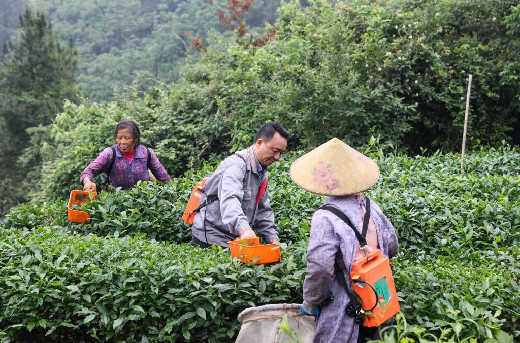 High-quality Chinese goods such as premium teas tend to be underrepresented globally. (Reuters)