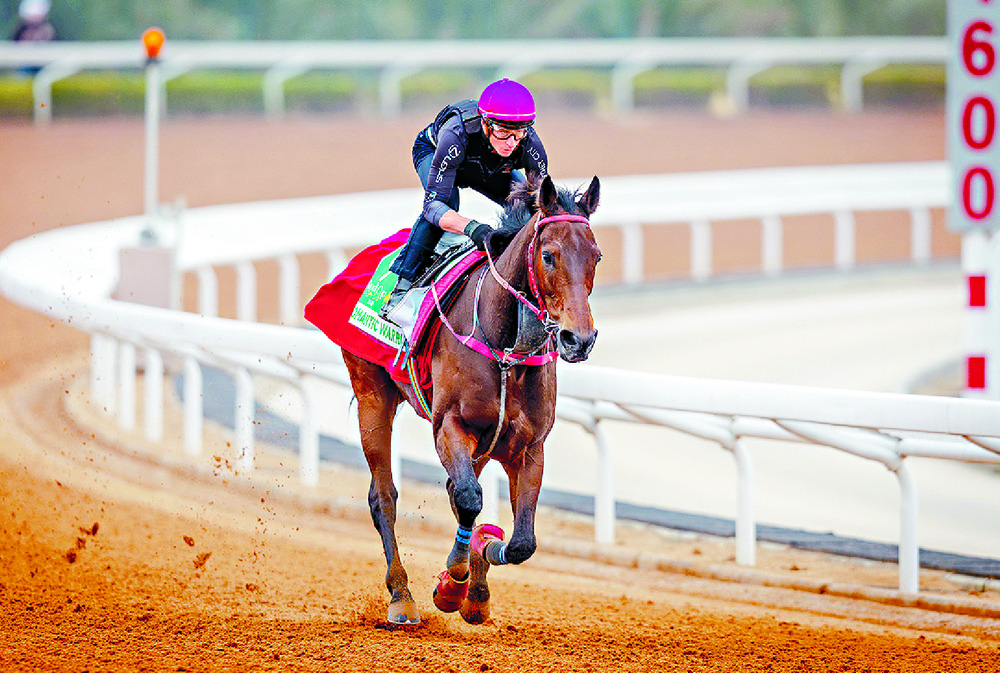 James McDonald partners Romantic Warrior at morning trackwork. HKJC James McDonald partners Romantic Warrior at morning trackwork. HKJC