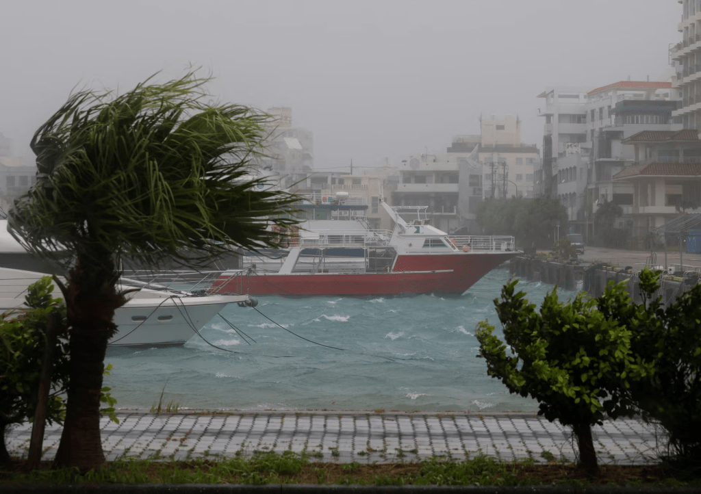 Strong wind rattles trees at a port as Typhoon Bavi passes through, in Ishigaki, Japan, July 11, 2026. REUTERS/Kim Kyung-Hoon