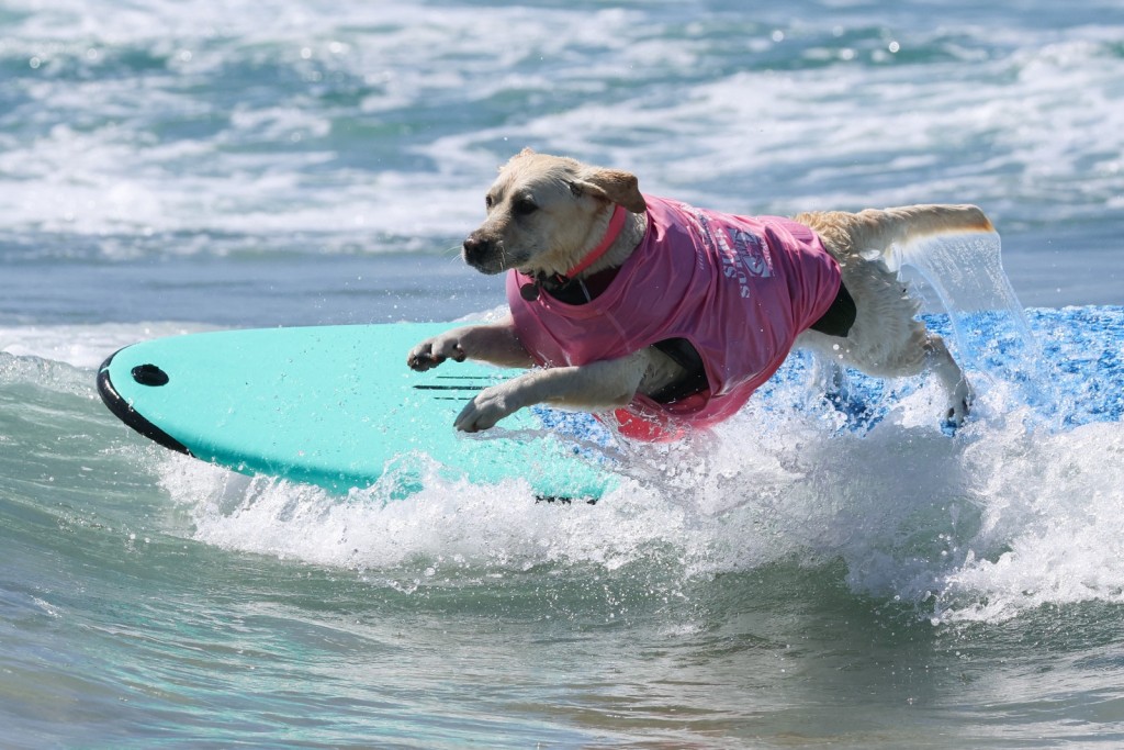 (Photo by Patrict T. FALLON / AFP)