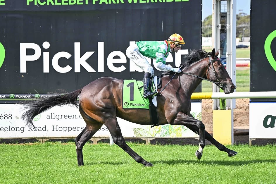 Bear Champ winning in Australia. Photo: Dan Meagher Racing