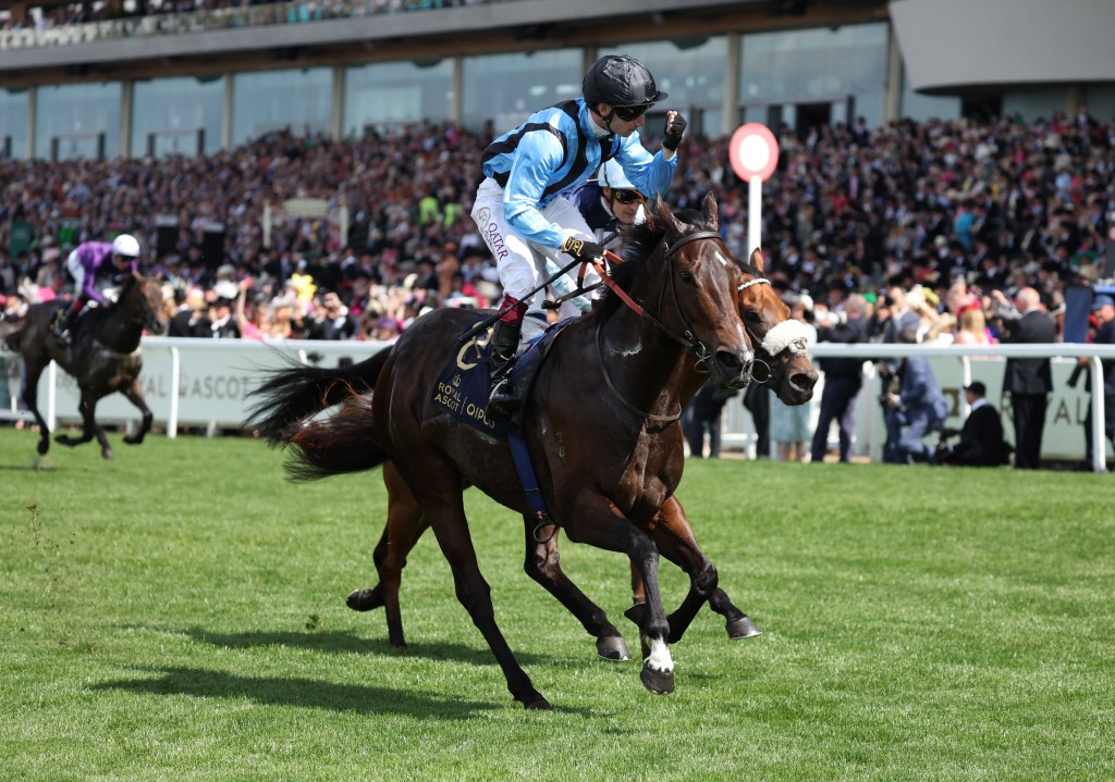 Asfoora, with Oisin Murphy on board celebrates winning the King Charles III Stakes back in 2024. Reuters