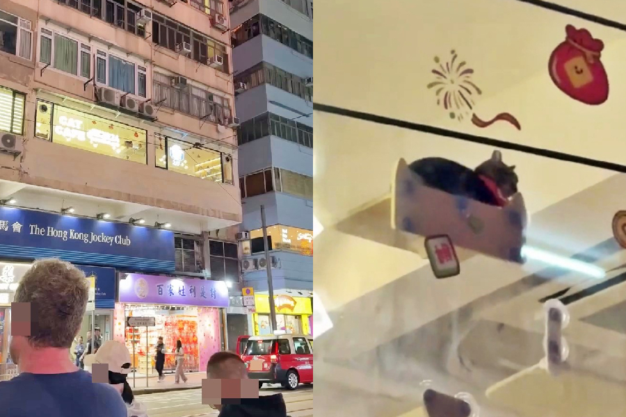 (Photo from Threads)