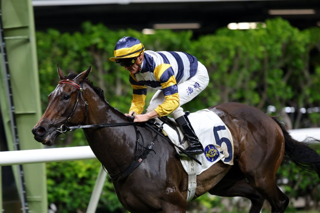 Packing Hermod wil contest the G2 Premier Bowl, trainer Francis Lui avoiding the competitive mile division (HKJC) 