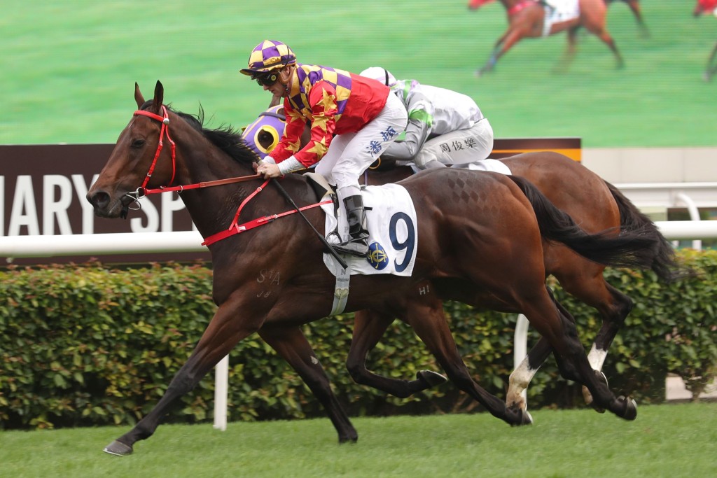 Gorgeous Win, seen here winning for Zac Purton at Sha Tin, is selected on top in Race 10 on Sunday by Luke Middlebrook (HKJC) 