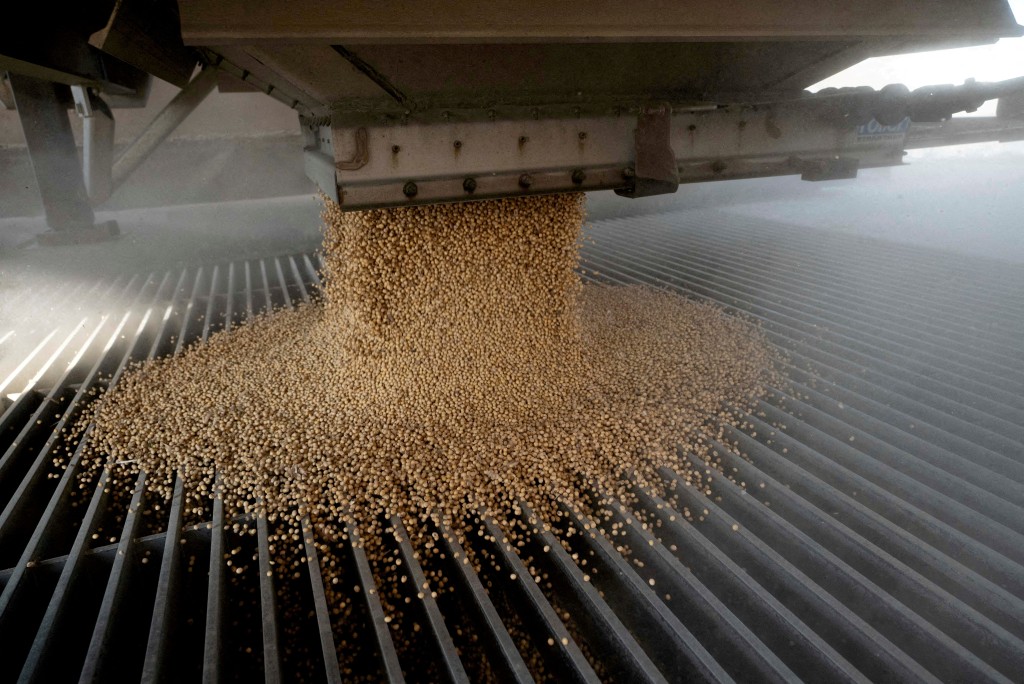 A load of soybeans is dumped into an elevator hopper during harvest season at Deerfield AG Services grain elevator facility in Massillon, Ohio, U.S., October 7, 2021.REUTERS/Dane Rhys