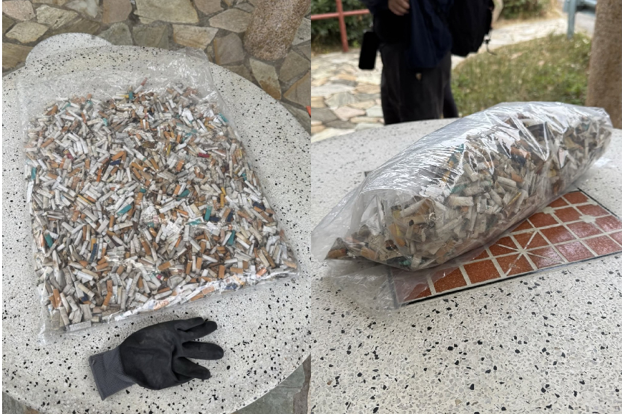 (Photos from Thread)