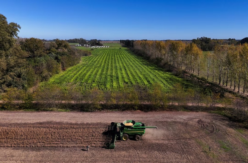 A drone view shows a harvester working in a soybean plantation in San Andres de Giles, on the outskirts of Buenos Aires, Argentina, May 12, 2025. REUTERS/Martin Cossarini/File Photo