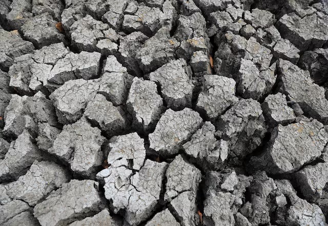 A view of cracked ground at a dam, as Zimbabwe is experiencing an El Nino-induced drought, in Mudzi, Zimbabwe July 2, 2024. REUTERS/Philimon Bulawayo