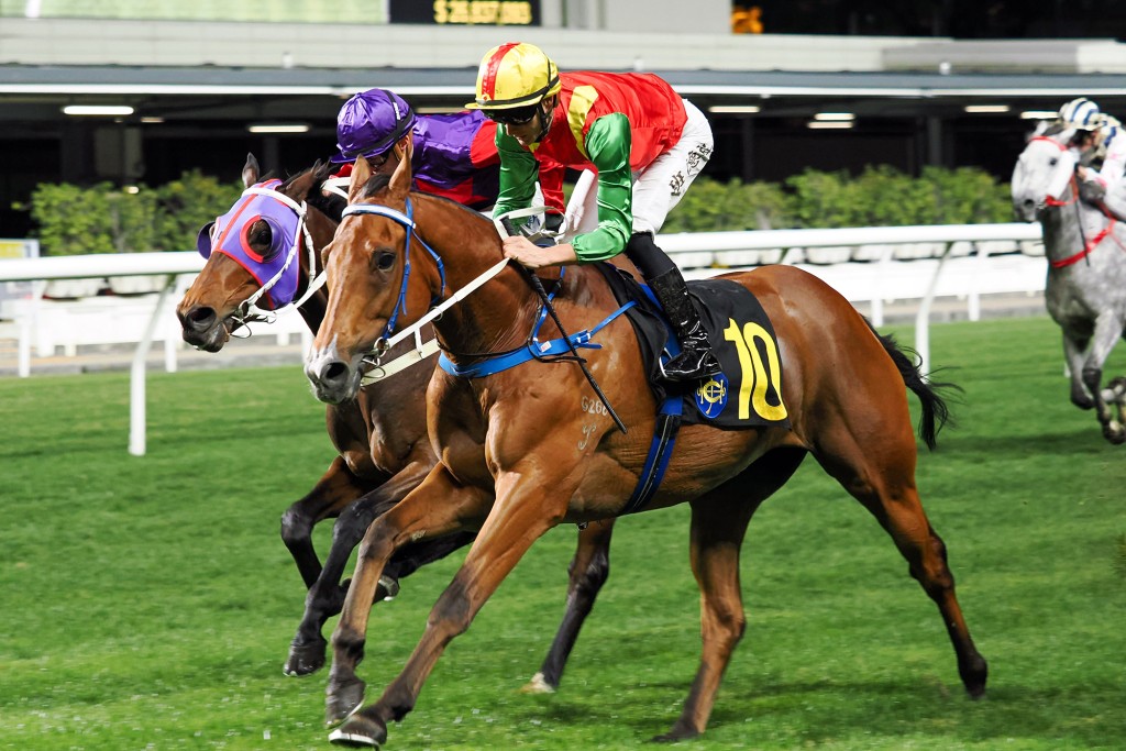 Luke Middlebrook believes consistent veteran Jumbo Legend is ready to run a big race in a competitive Class 2 on Wednesday (HKJC) 