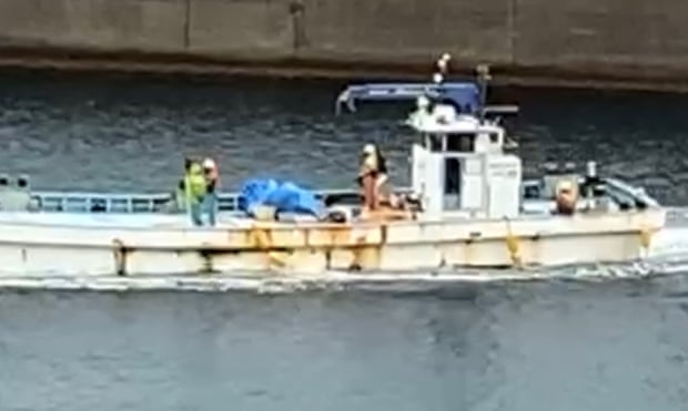 Fisher folk in the Japanese town of Taiji, best known for its annual dolphin cull, with the killed minke whale wrapped in blue tarpaulin. Fisher folk in the Japanese town of Taiji, best known for its annual dolphin cull, with the killed minke whale wrapped in blue tarpaulin.