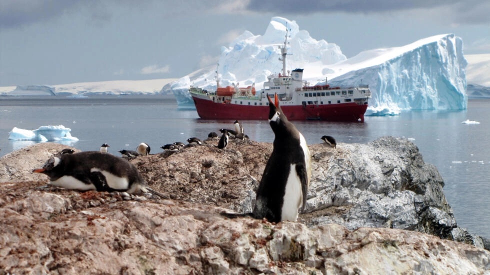 The study by the British Antarctic Survey found that record-low sea ice levels in 2023 contributed to the second-worst year for emperor penguin chick mortality since observations began in 2018 © SARAH DAWALIBI / AFP/File The study by the British Antarctic Survey found that record-low sea ice levels in 2023 contributed to the second-worst year for emperor penguin chick mortality since observations began in 2018 © SARAH DAWALIBI / AFP/File