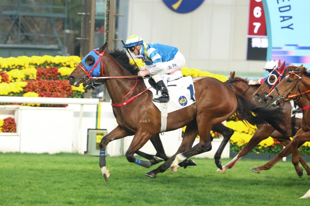 Patch Of Cosmo makes a winning return from a long layoff. Singtao