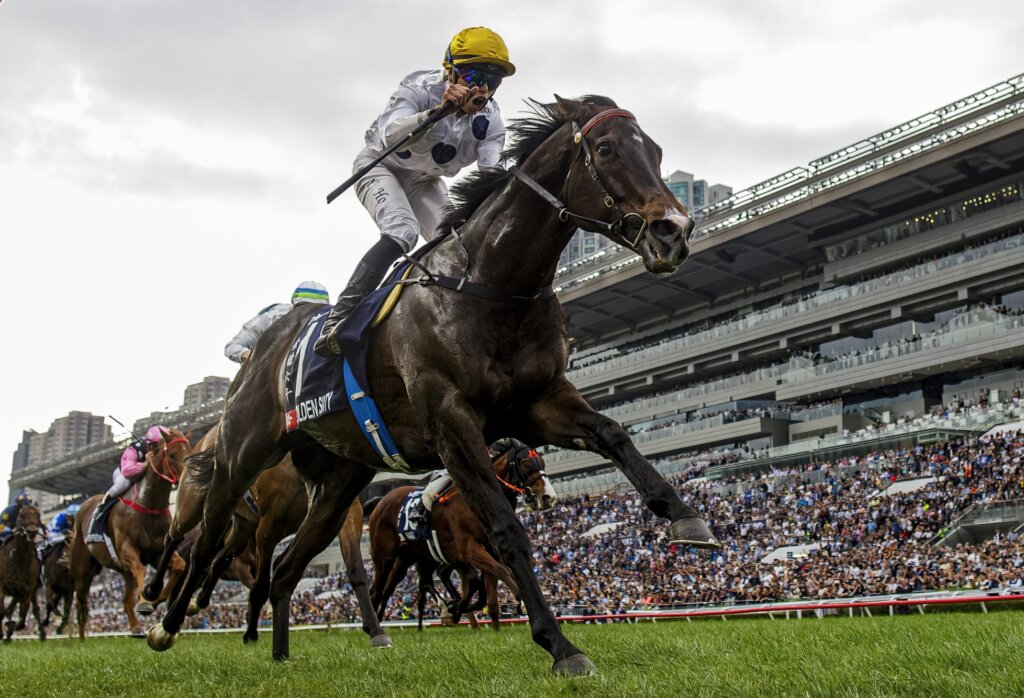 GOLDEN SIXTY, VINCENT HO / G1 Hong Kong Mile // Sha Tin /// 2023 //// Photo by HKJC/Alex Evers GOLDEN SIXTY, VINCENT HO / G1 Hong Kong Mile // Sha Tin /// 2023 //// Photo by HKJC/Alex Evers