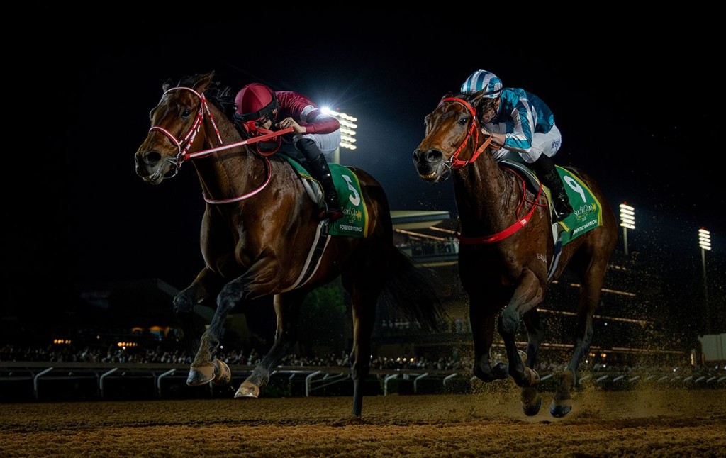 Forever Young (Left) beats Romantic Warrior by a neck in the Saudi Cup. The margin might be the difference in Romantic Warrior's Horse of the Year hopes (HKJC) 