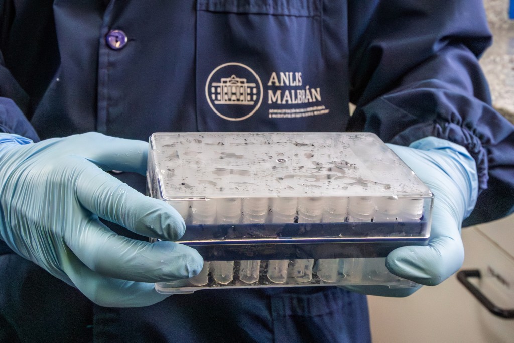 Photo by HANDOUT / ARGENTINE HEALTH MINISTRY / AFP  This handout picture released by Argentina's Health Ministry shows a scientist from the Malbran Institute handling containers used to diagnose the Andes hantavirus, which contain RNA from the Andes virus as part of the detection process, in Buenos Aires on May 6, 2026.