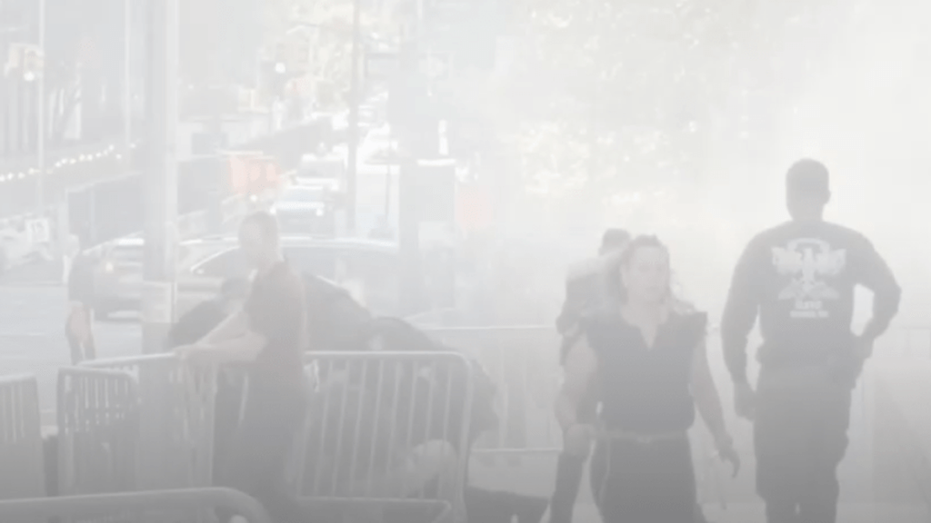 Screenshot from ABC News footage