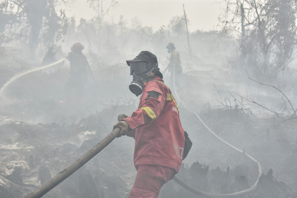 Photo by WAHYUDI / AFP A peatland firefighting task force extinguishes a fire in the Tambang area of Kampar, in the Riau province on August 27, 2026.