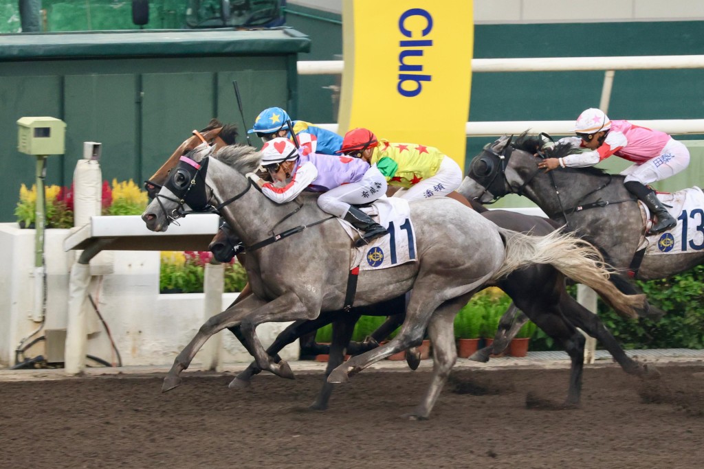 Lyle Hewitson drives Talents Ambition to a narrow Class 2 win on the all-weather track on Saturday at Sha Tin. SING TAO