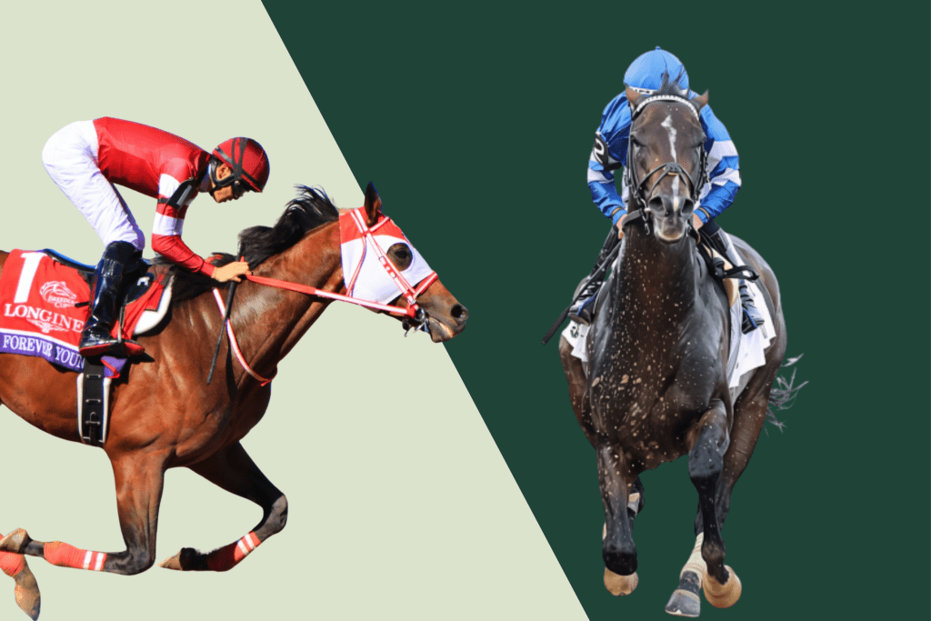 FOREVER YOUNG, RYUSEI SAKAI; SOVEREIGNTY, JUNIOR ALVARADO / Illustration by Idol Horse