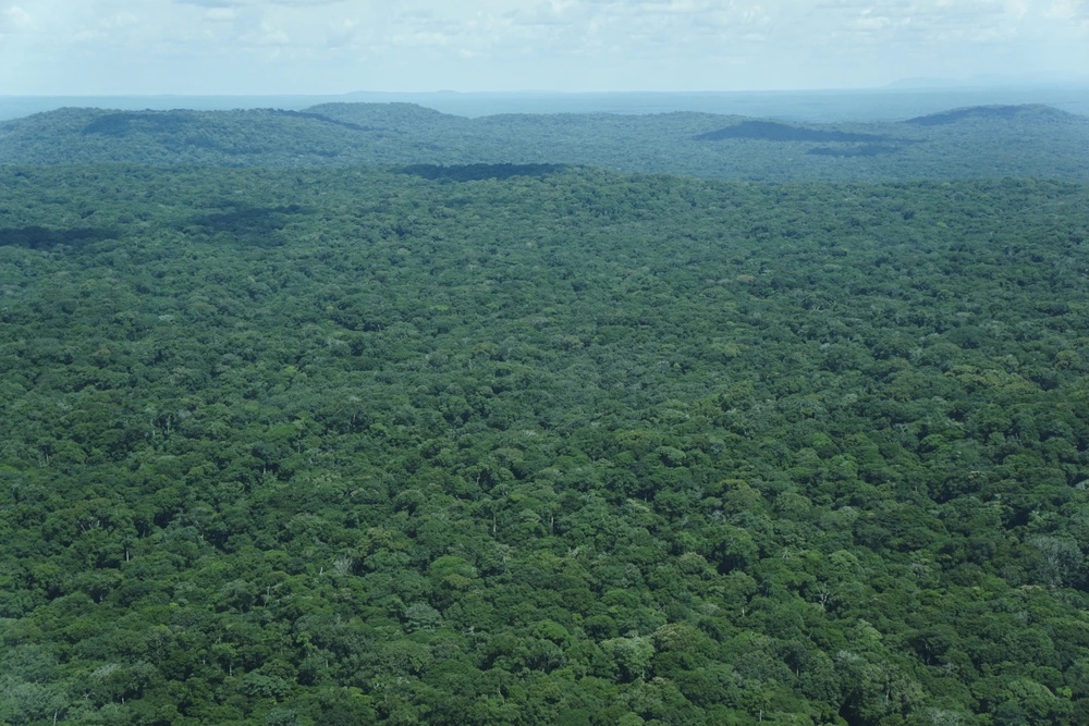 Trees cover the Okapi Wildlife Reserve in Congo, September 2022. (AP Photo)