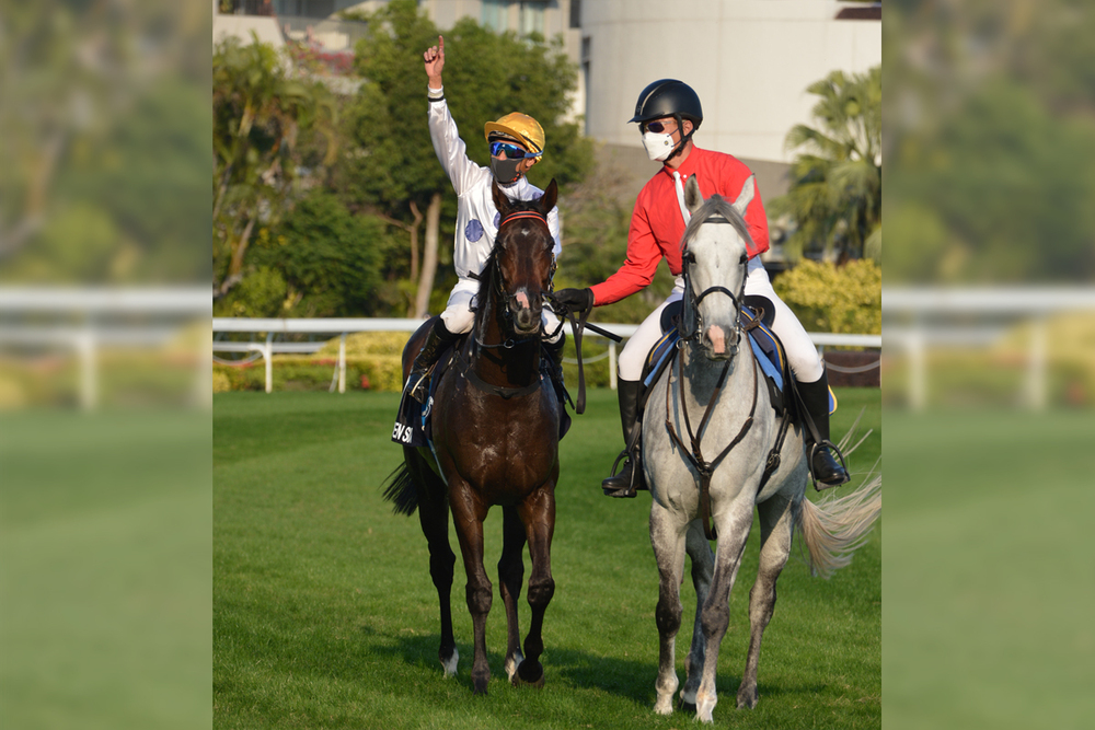 Golden Sixty is looking to bounce back after defeat. Golden Sixty is looking to bounce back after defeat.