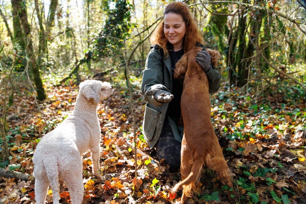 Ivana Karlic Ban, accompanied by her dogs, shows off a truffle after finding it in the woods near Buzet, Croatia, November 11, 2025. REUTERS/Antonio Bronic