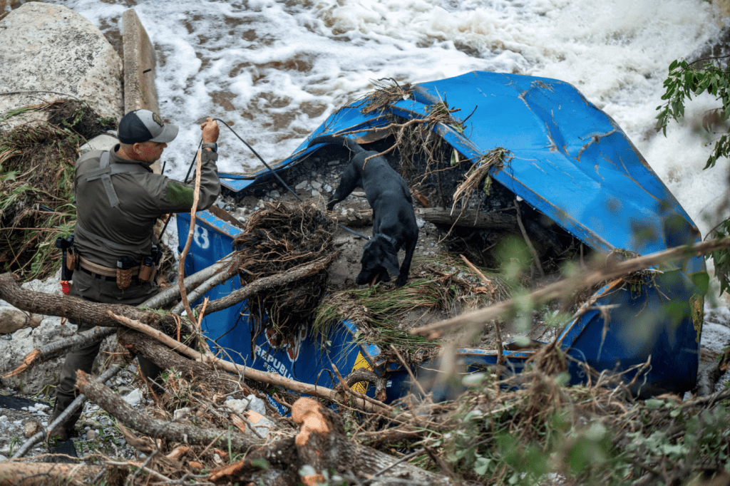 A search dog looks through a dumpster at Camp Mystic after deadly flooding in Kerr County, Texas, U.S., July 5, 2025. (REUTERS/Sergio Flores)
