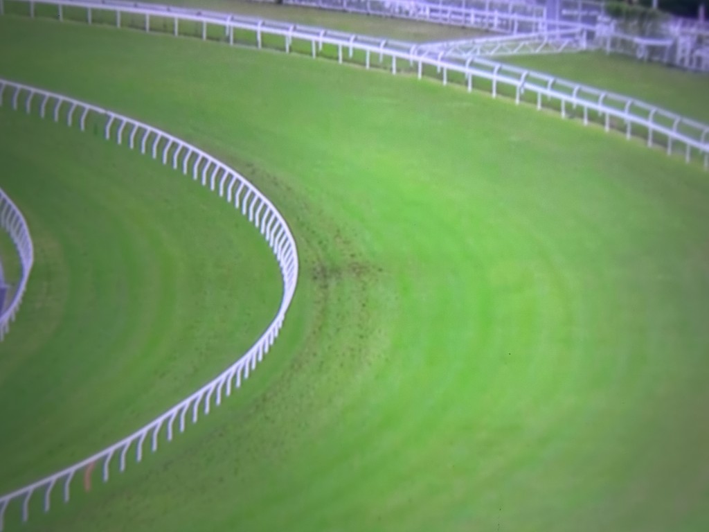 The affected section on the Sha Tin track, 500 meters from the winning post (Sing Tao) 