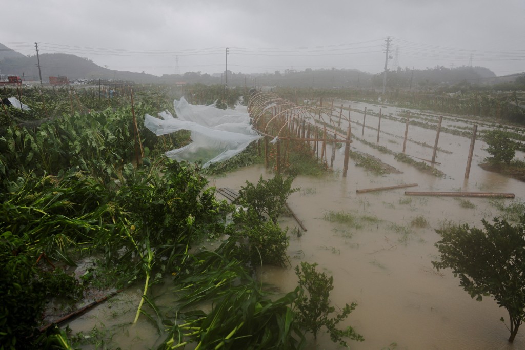 Farmland is flooded by heavy rain brought by Typhoon Bavi in Wenzhou, Zhejiang province, China (Reuters)
