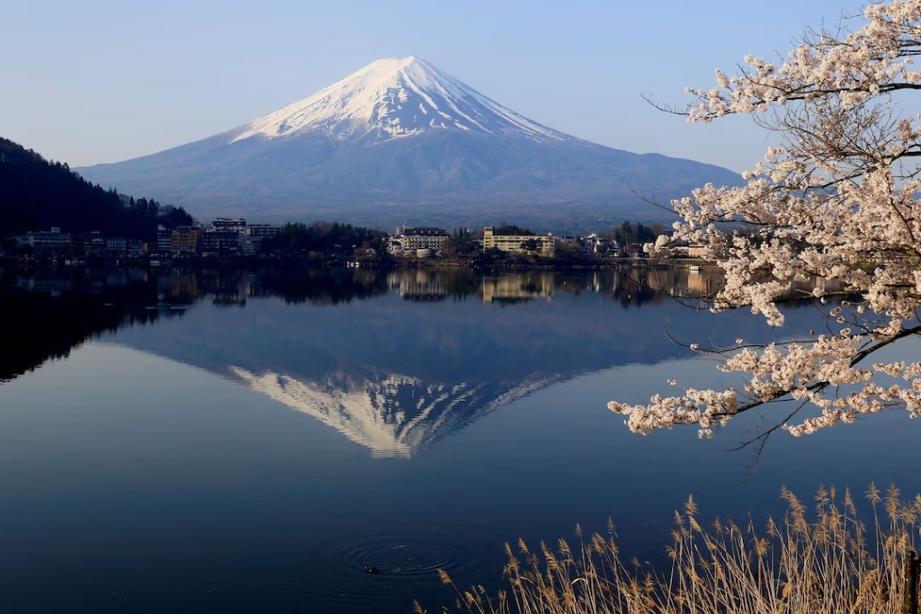 General view of cherry blossom trees with Mount Fuji in the background at Lake Kawaguchiko, Fujikawaguchiko, Japan, April 14, 2024. REUTERS/Carlos Perez Gallardo/File Photo
