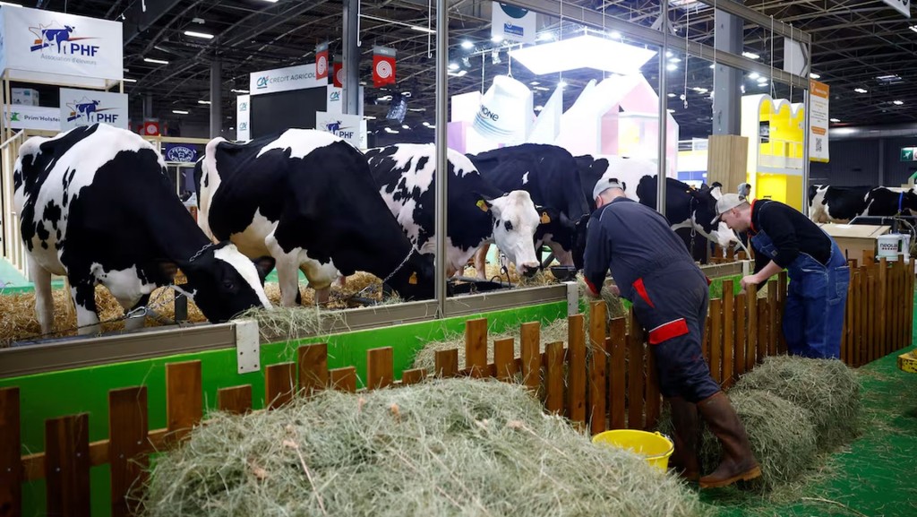 Photo: Reuters