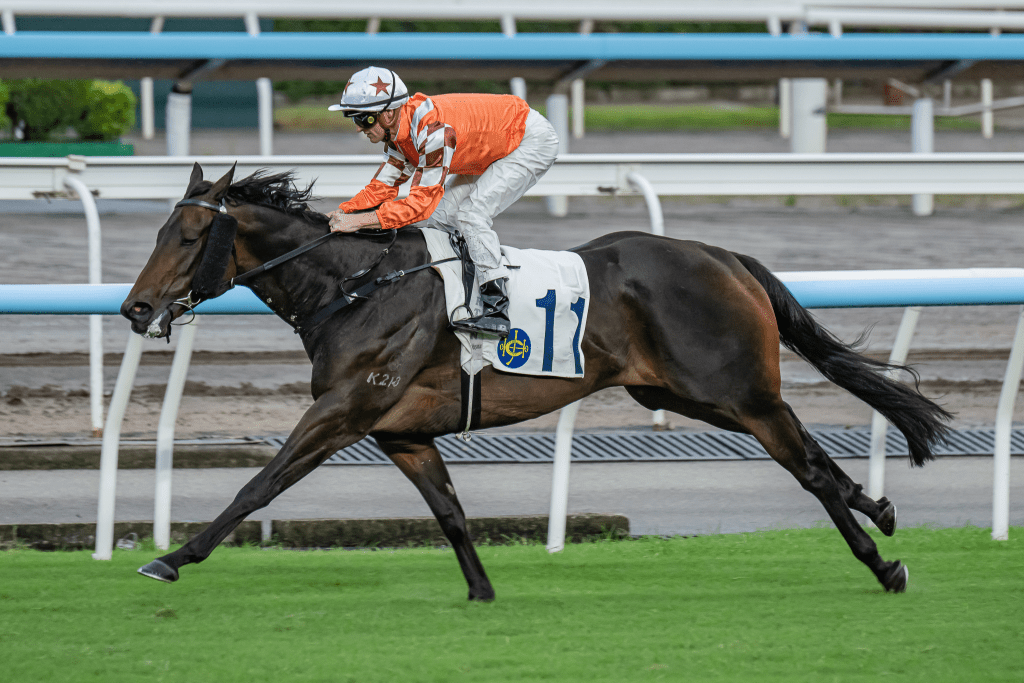 Bulb General will miss the 2026 Four-year-old Classic Series (Donald Lee) 